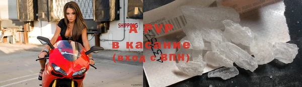 ГАЛЛЮЦИНОГЕННЫЕ ГРИБЫ Тайга