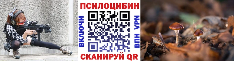 ссылка на мегу вход  где купить наркотик  Сургут  Галлюциногенные грибы Cubensis 