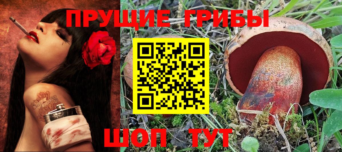 Псилоцибиновые грибы ЛСД  как найти наркотики  Сургут 