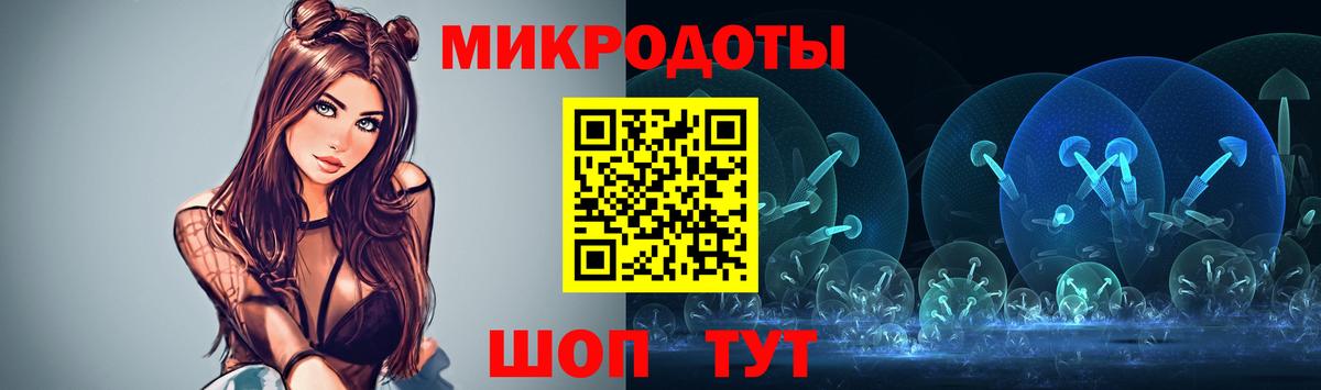 Псилоцибиновые грибы Cubensis Сургут