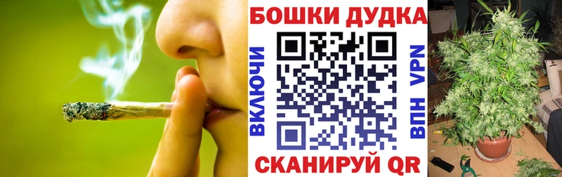 Бошки Шишки семена  закладки  Сургут 